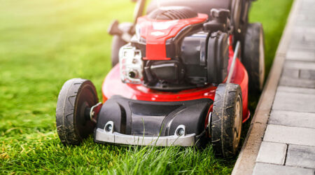 Advantages of lawn care services for seniors