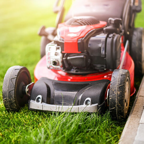Advantages of lawn care services for seniors