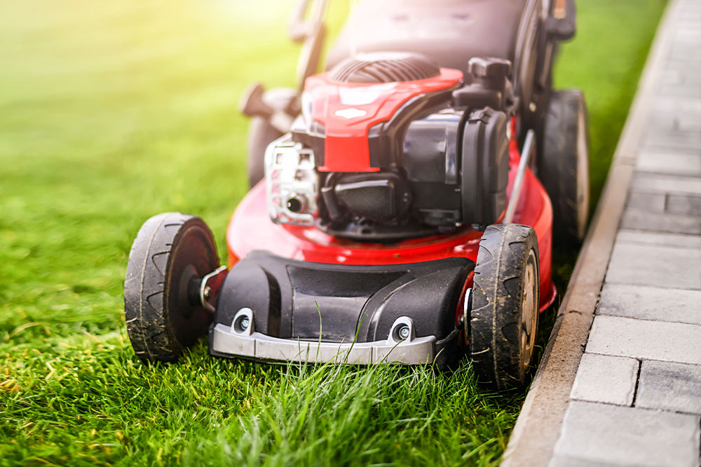 Advantages of lawn care services for seniors