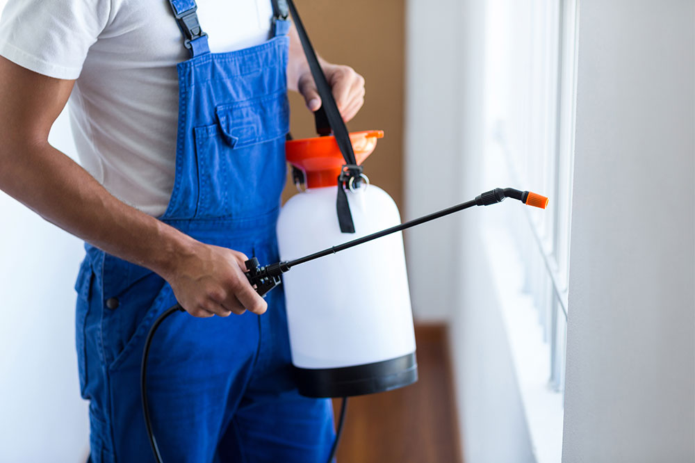 DIY pest control with essential oils