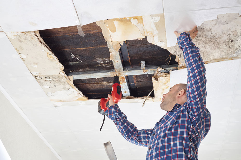 Top 3 water damage repair companies