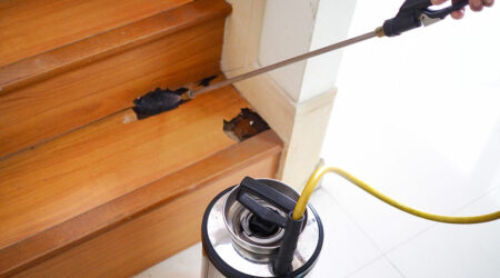 Types of termite treatments