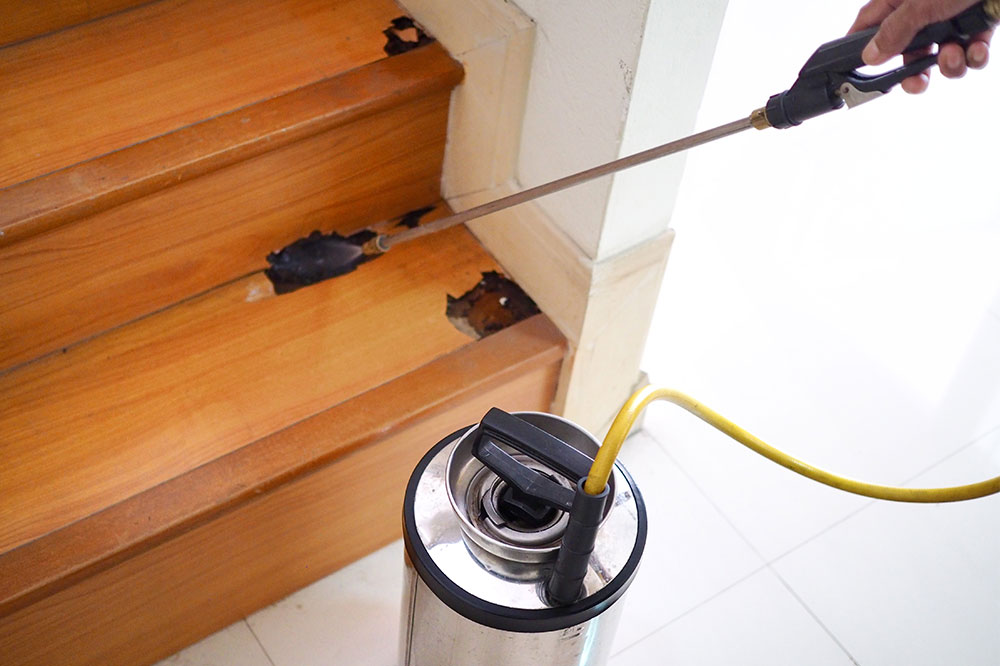 Types of termite treatments