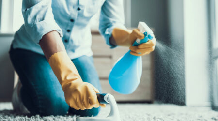 Popular carpet cleaning products and companies