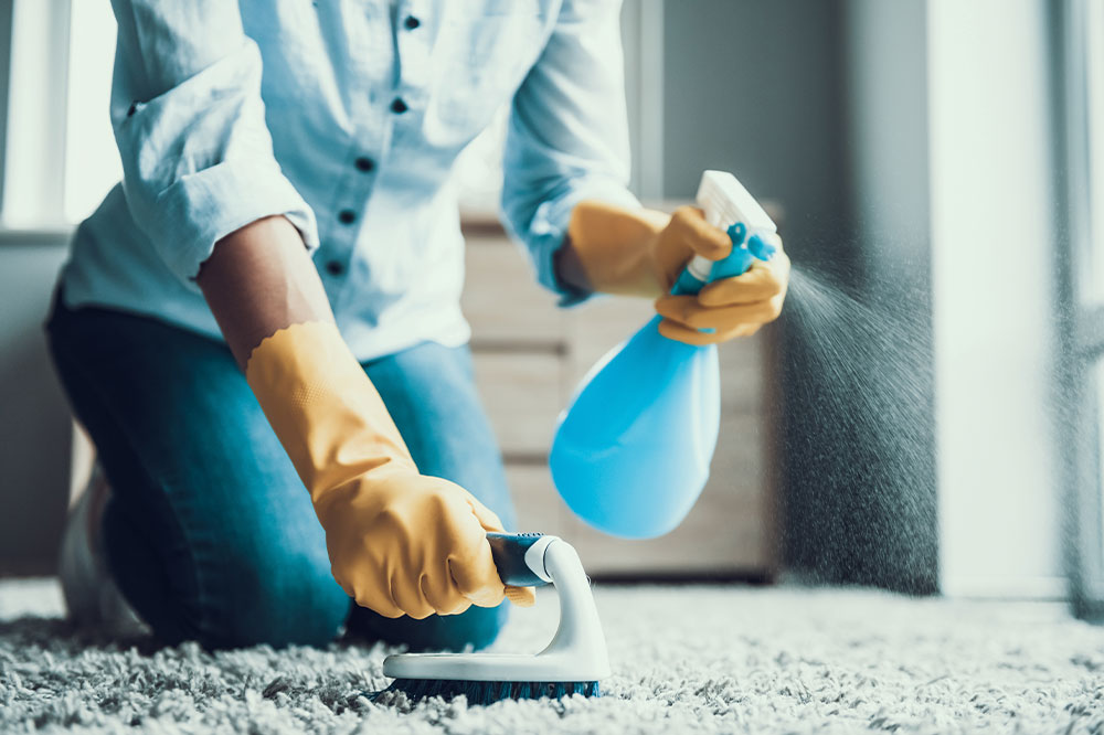 Popular carpet cleaning products and companies